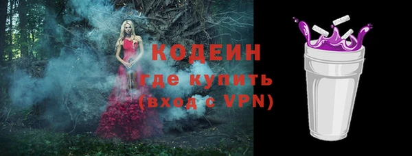 дживик Абаза