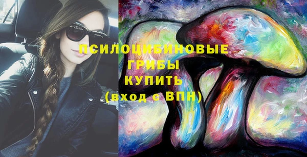 дживик Абаза
