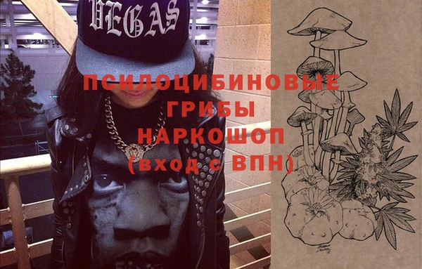 дживик Абаза