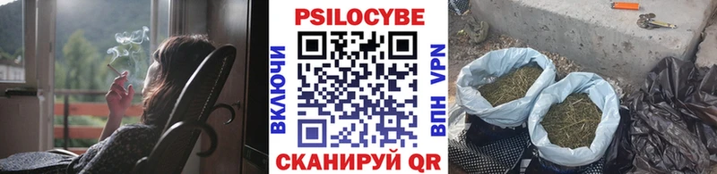 Галлюциногенные грибы GOLDEN TEACHER  Алейск 