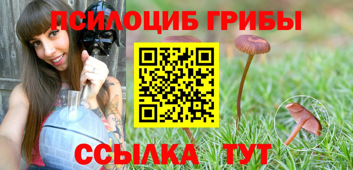 Алейск  Псилоцибиновые грибы Psilocybe  Вход с VPN  Галлюциногенные грибы мухоморы 