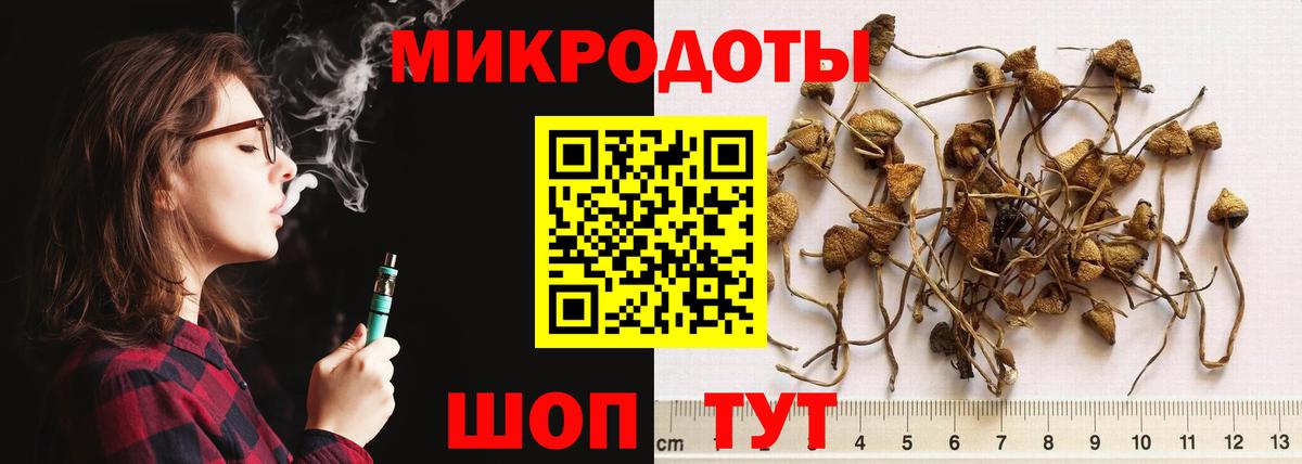 Псилоцибиновые грибы Psilocybine cubensis Алейск